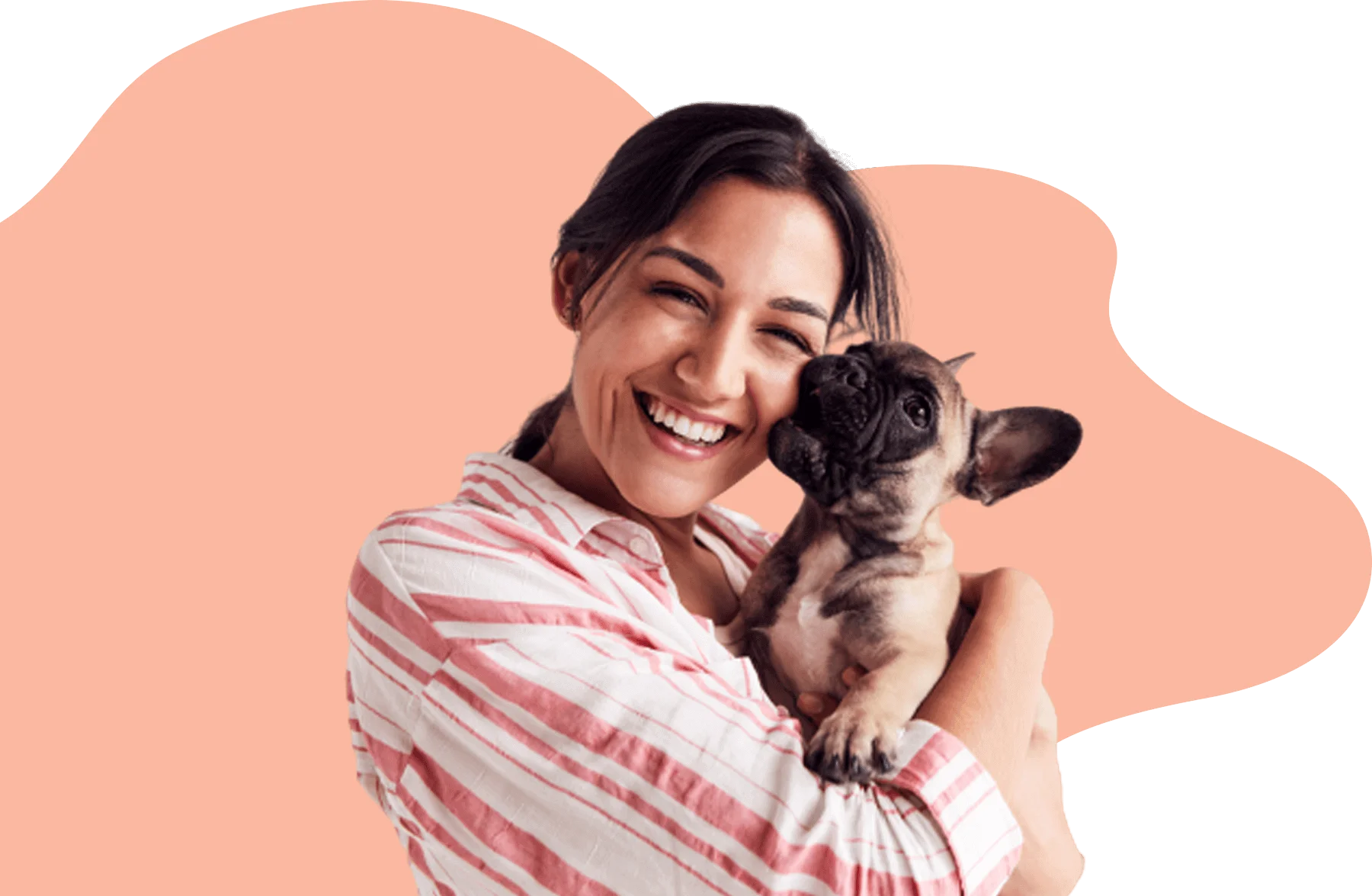 Pet Grooming Reliable Pet Grooming