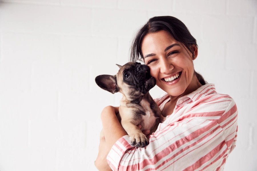 Dog Care Practices That Keep Feeding Schedules Consistent Lynden, WA